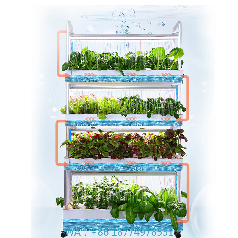 Diy Automation - ydroponic Planting System Smart Home Automation