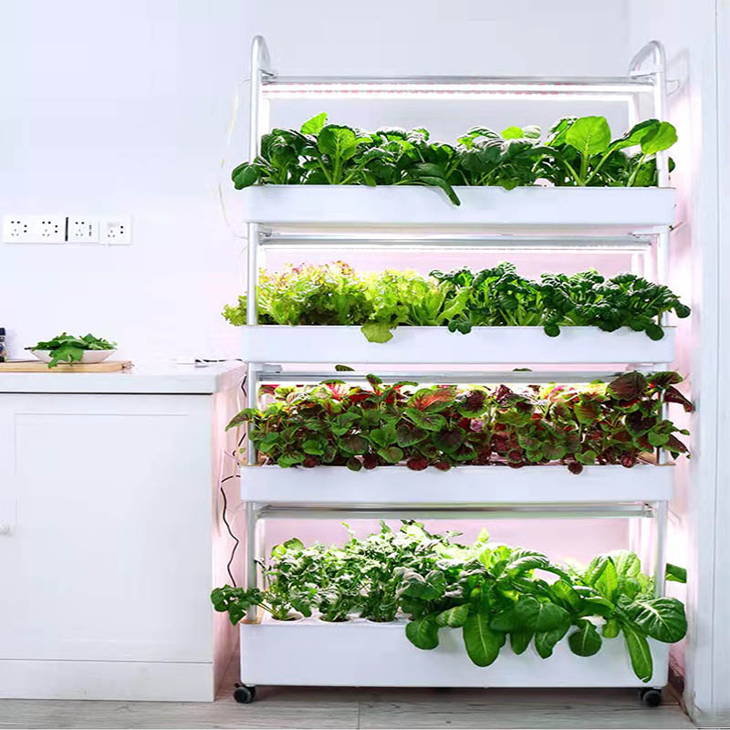 ydroponic Planting System Smar - Diy Automation ulasan dan harga