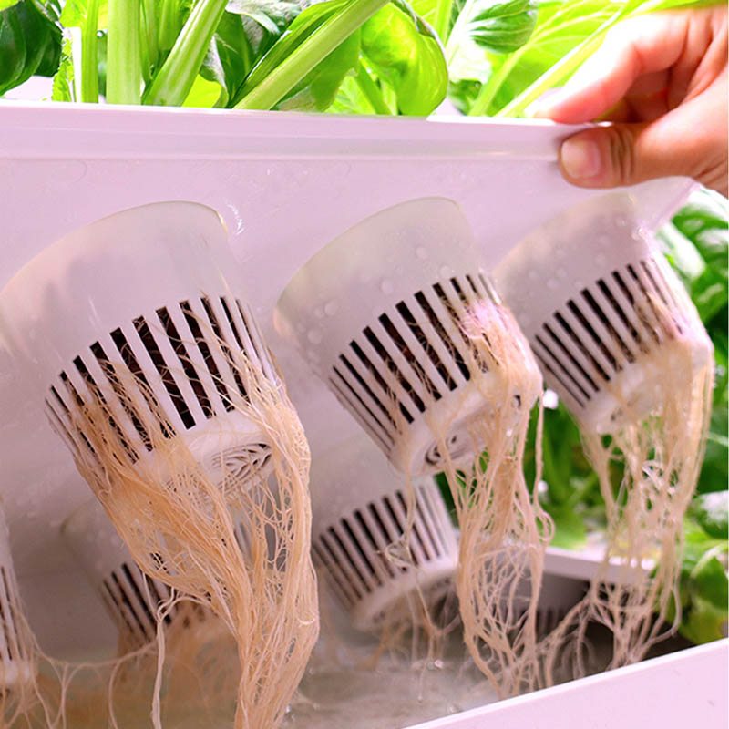 ydroponic Planting System Smar - Diy Automation ulasan dan harga