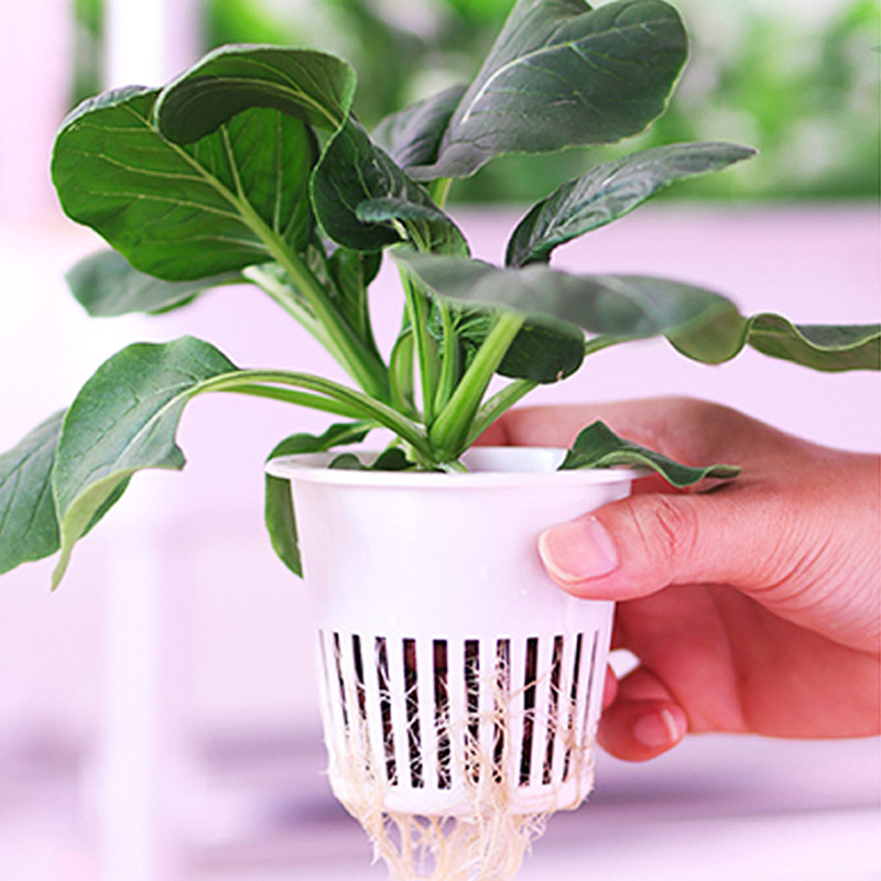 ydroponic Planting System Smar - Diy Automation ulasan dan harga